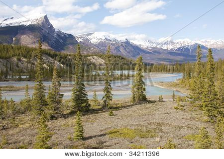 Glaciale dal i de canadiske Rockies