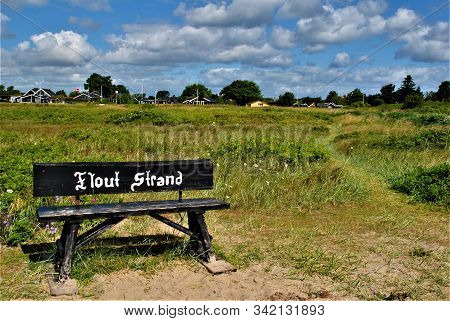 Branch At Flovt Strand Beach In Denmark On A Beautiful Summer Day. Ostsee