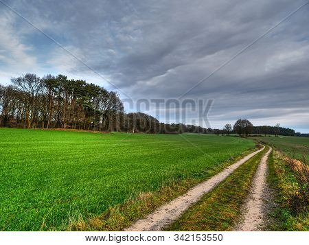 winter time in a forest near reken in germany