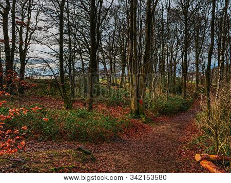 hiking near reken in the german muensterland
