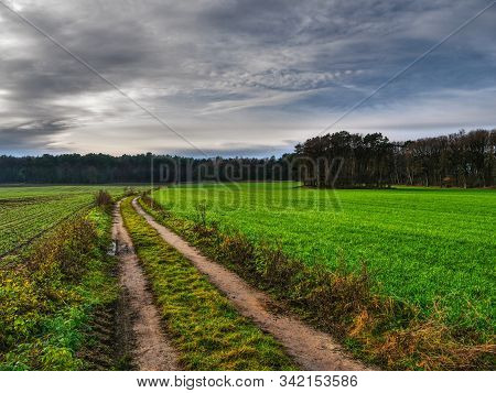 hiking near reken in the german muensterland