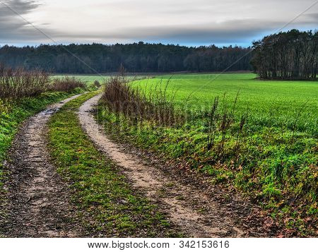 hiking near reken in the german muensterland