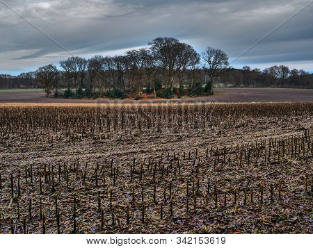 hiking near reken in the german muensterland