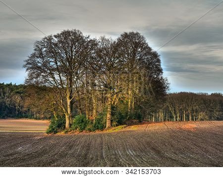hiking near reken in the german muensterland