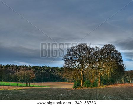 hiking near reken in the german muensterland