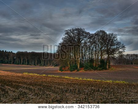 hiking near reken in the german muensterland