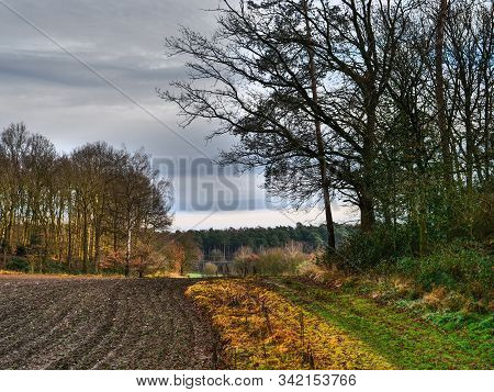 hiking near reken in the german muensterland