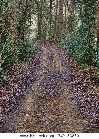 hiking near reken in the german muensterland