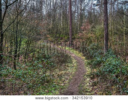hiking near reken in the german muensterland
