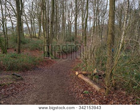 hiking near reken in the german muensterland