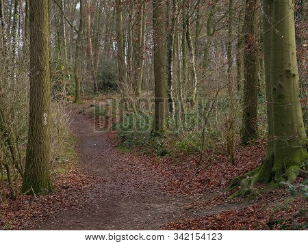 hiking near reken in the german muensterland