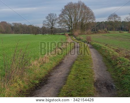 hiking in the forest near reken in germany
