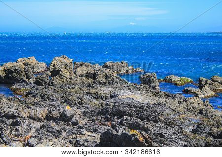 Beautiful Coastline At Owhiro Bay In Wellington, North Island, New Zealand
