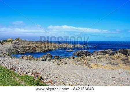 Beautiful Coastline At Owhiro Bay In Wellington, North Island, New Zealand