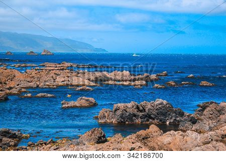 Beautiful Coastline At Owhiro Bay In Wellington, North Island, New Zealand