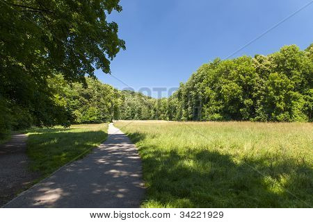 sommerwiese