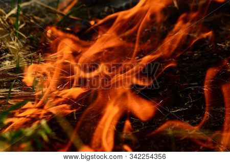 Coastal Zone Of Marsh Creek, Strong Smoke From Fire Of Liana Overgrowth. Spring Fires Of Dry Reeds D