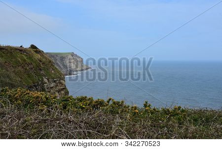 Sea Cliffs Along Robin Hood's Bay In North Yorkshire