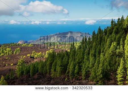 Landscape with valley, mountains, sea from road to Teide National Park, Tenerife, Canary Islands, Spain 