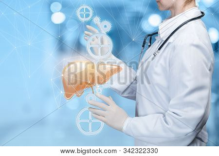 The Concept Of Treatment Of The Liver. The Doctor Adjusts The Mechanism Of A Healthy Liver.