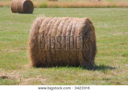 Rotoballe di fieno