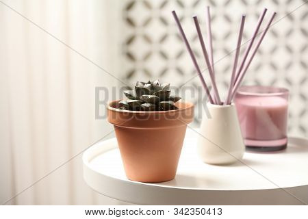Beautiful Echeveria Plant On White Table At Home