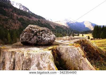 Stone Lie On A Old Root With View In A Valley