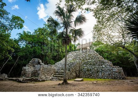 Ancient Mayan Pyramids Nohoch Mul In Coba