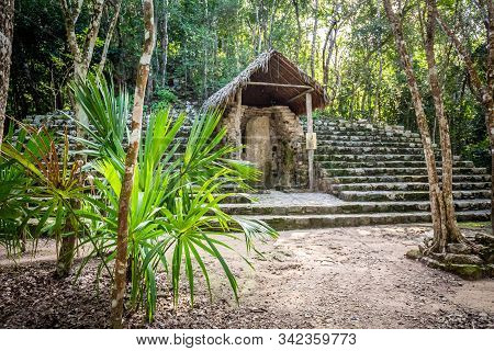 Ancient Mayan Pyramids Nohoch Mul In Coba