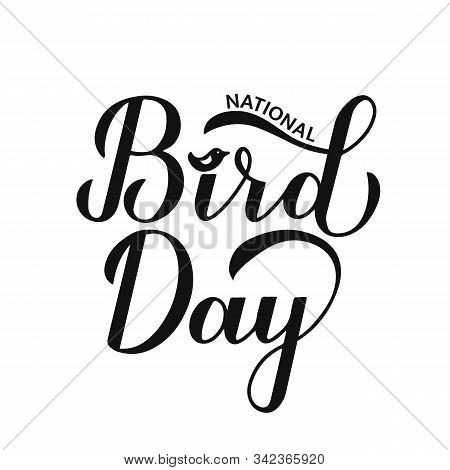 National Bird Day Calligraphy Hand Lettering Isolated On White Background. Greeting Card For Bird Lo