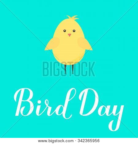Bird Day Calligraphy Hand Lettering With Cute Cartoon Chick Vector Illustration. Easy To Edit Templa