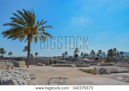 Archaeological Remains In Tel Megiddo National Park, World Heritage Site. At Jezebel Valley, Norther