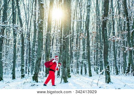 Santa Magical Fog Walking Along The Field. Christmas Celebration Holiday. Santa In The Winter Field.