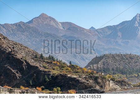 Barren Wilderness In The Mountains