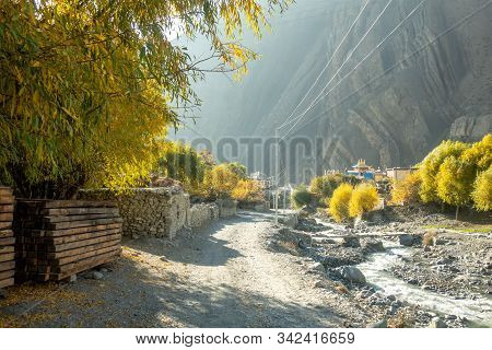 Dirt Road Lined With Yellow Trees