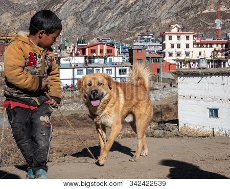 Boy And His Dogs In Nepal