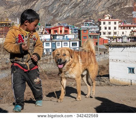 Boy And His Dogs In Nepal