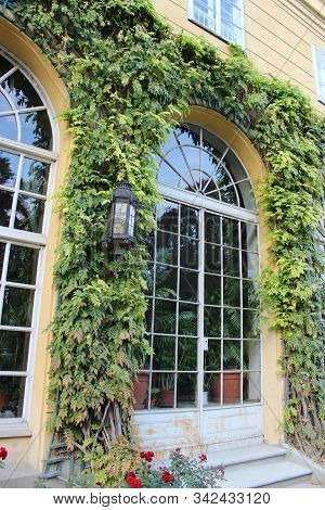 Wonderful Glass Doors Covered Around Wild Grapes And Ivy.