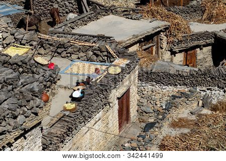 Looking Down On Rooftops