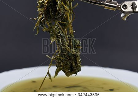 Jiaogulan Herb Is Also Referred To As The Herb Of The Immortals And Sold.