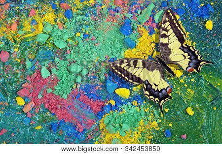 Bright Multicolored Butterfly On A Colorful Pastel Background. Color Concept. Multicolored Crayons T