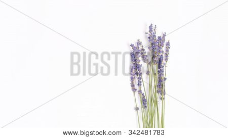 Bouquet Of Violet Lilac Purple Lavender Flowers Arranged On White Table Background. Top View, Flat L