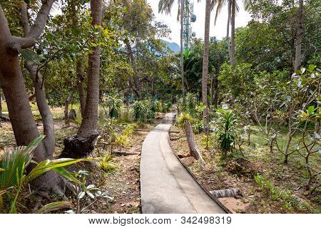 Narrow Concrete Uphill Walkway Through The Mountain And Forests Leading To Viewpoint 1 And 2 In Phi 
