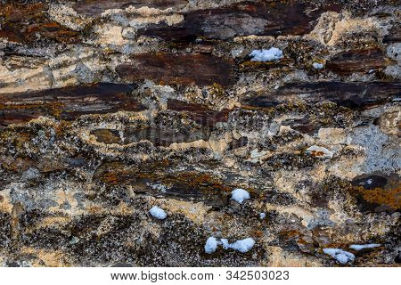 An Old Stone Wall Covered With Moss, With Crumbling Plaster. Texture.