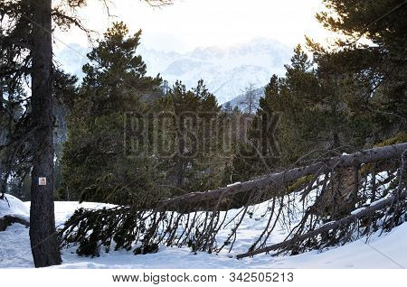 Walk In The Station Of Montgenevre Taken By The Cold, The Snow And The Frost.