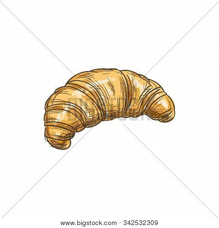 Croissant Isolated French Crescent-shaped Roll. Vector Sketch Of Sweet Flaky Pastry, European Breakf