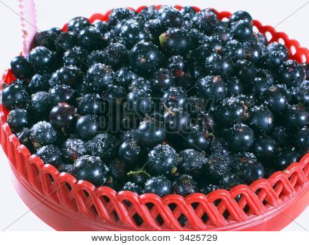 Berries Currants สีดำและน้ำตาล