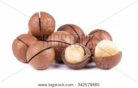 Macadamia Nuts With Leaves, Isolated On White Background. Shelled And Unshelled Macadamia.