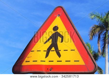 Adviser Peatonal Cross Signal In The Street