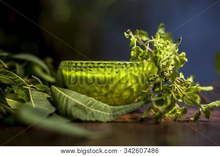 Close Up Shot Of Glass Bowl Full Of Tulsi Or Basil And Neem Or Indian Lilac Paste In It Along With F